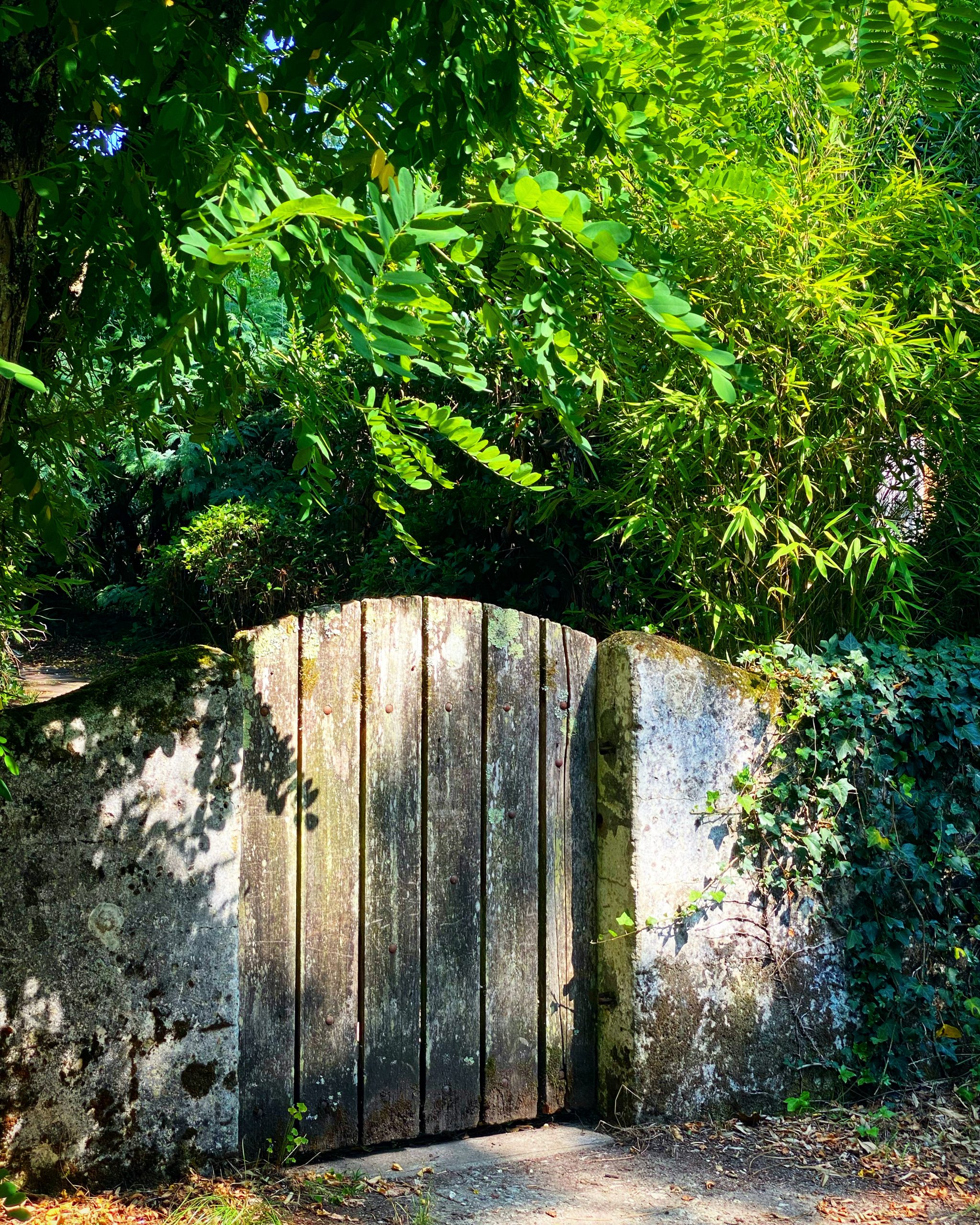 Porte jardin Cap Ferret Royal Cocoon